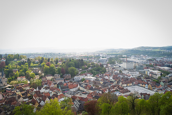 Zoning, Planning, and Land Use